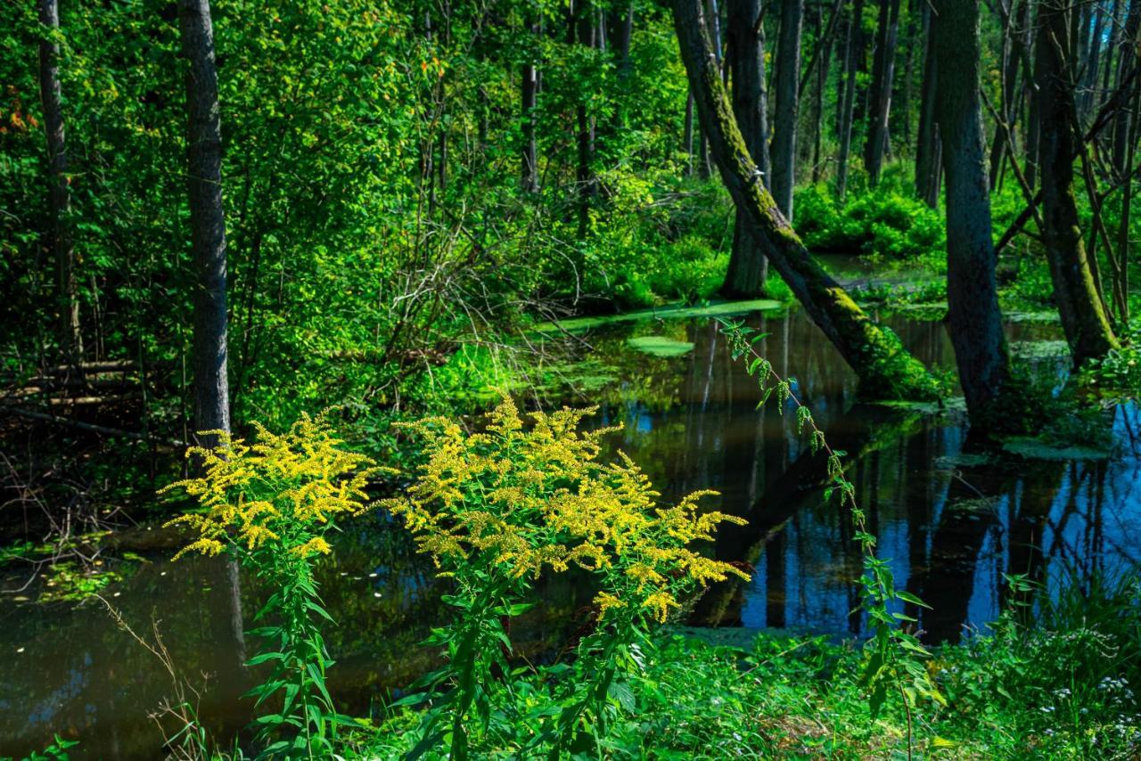 Отель Lesna Osada Przy Suntago Park Krzyzowka  Экстерьер фото