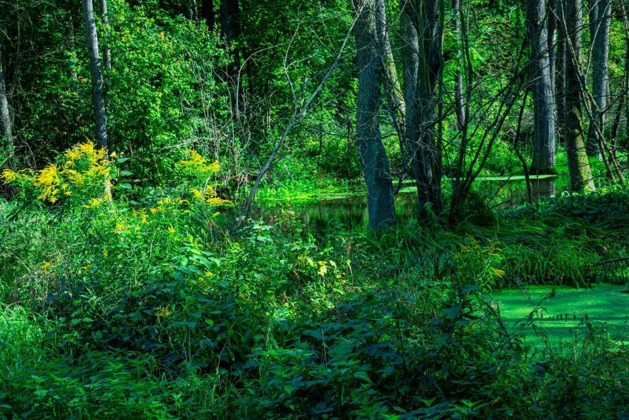 Отель Lesna Osada Przy Suntago Park Krzyzowka  Экстерьер фото